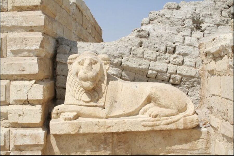 From Cairo: Whale Valley and Wadi El Rayan Waterfalls Tour - Qarun Lake, ancient water in a dry region