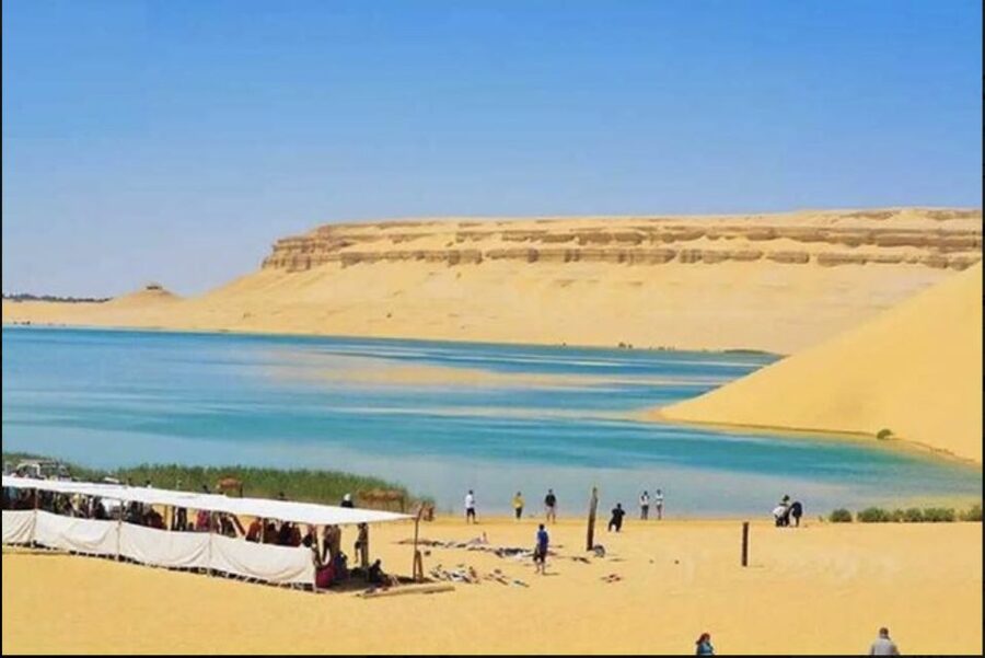 From Cairo: Whale Valley and Wadi El Rayan Waterfalls Tour - What the $150 price gives you