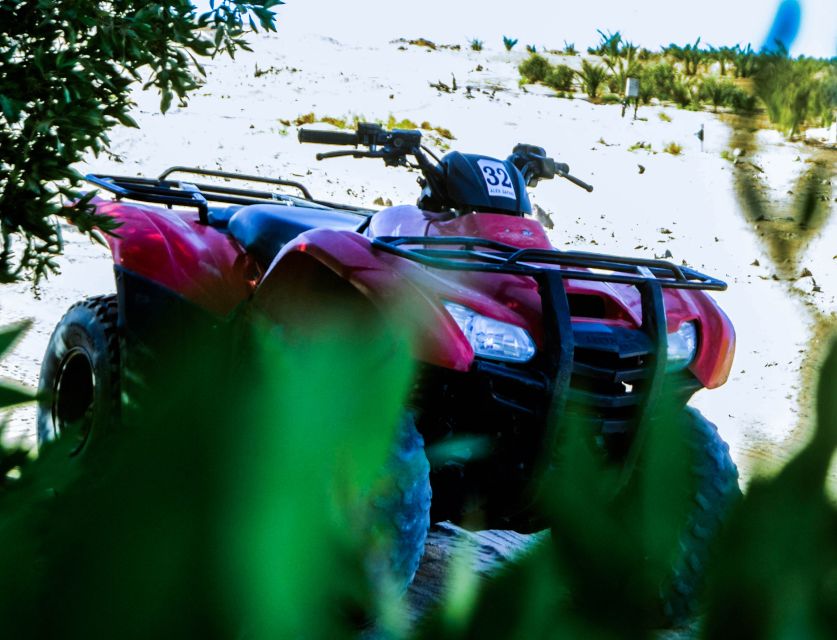 From El Gouna: Dry Canyon Quad Bike Morning Tour - Who should book this desert morning