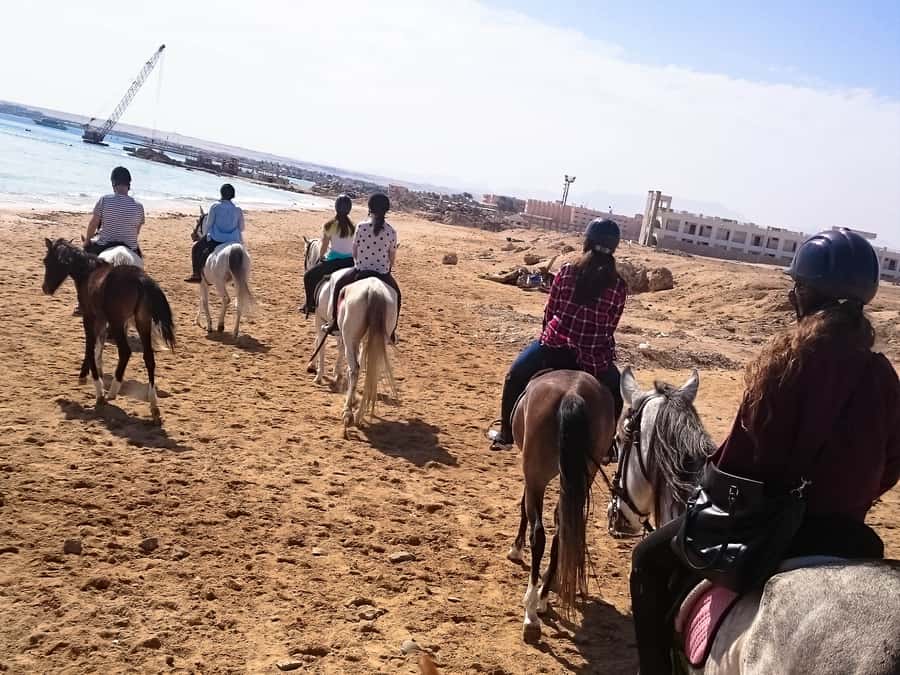 From Hurghada: Makadi Bay Horse Riding Tour - What the $20 price really buys you