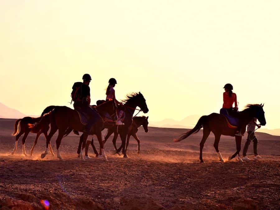 From Hurghada: Makadi Bay Horse Riding Tour - Why Makadi Bay works so well on horseback