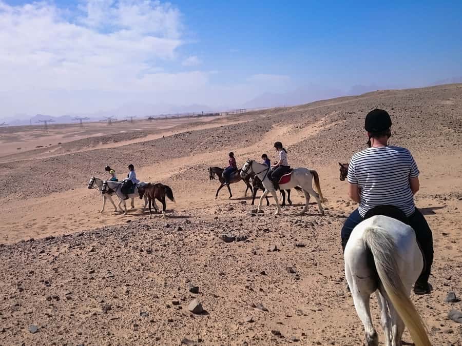 From Hurghada: Makadi Bay Horse Riding Tour - The standard two-hour desert and beach ride