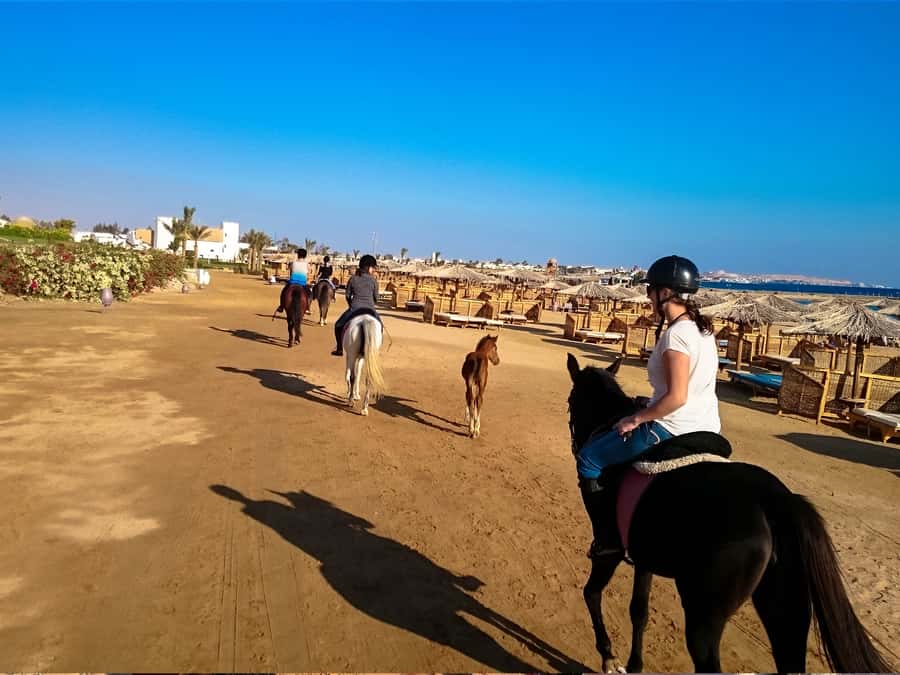 From Hurghada: Makadi Bay Horse Riding Tour - Sunrise at 5:00 AM, plus an Oriental breakfast