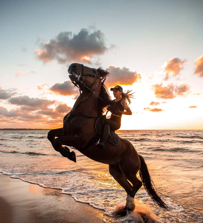 From Hurghada: Makadi Bay Horse Riding Tour - The quad-bike and horse-riding combo