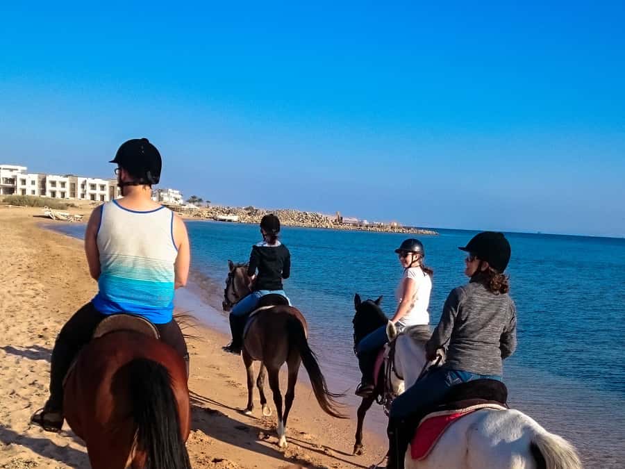 From Hurghada: Makadi Bay Horse Riding Tour - The four-hour VIP ride with a Red Sea swim stop