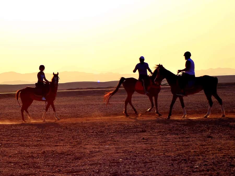 From Hurghada: Makadi Bay Horse Riding Tour - Pickup from Hurghada and the Makadi Bay base