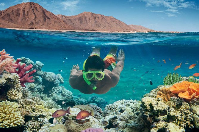 From Hurghada: Paradise Island Full-Day Snorkeling Tour - Snorkeling at several Red Sea sites