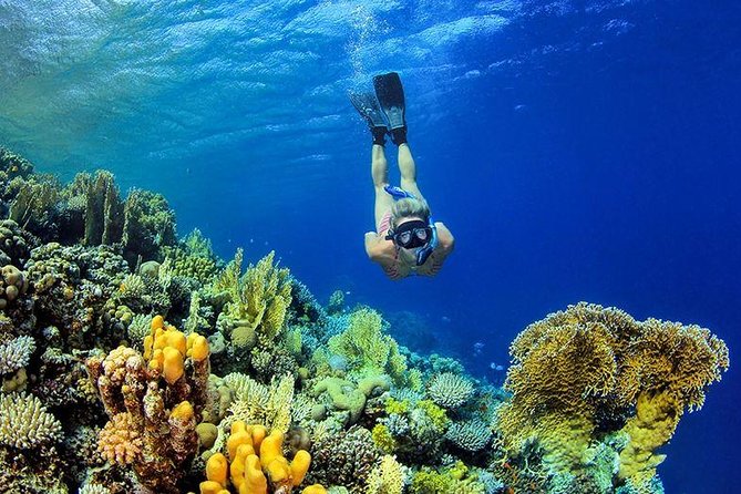 From Hurghada: Paradise Island Full-Day Snorkeling Tour - Lunch aboard the boat
