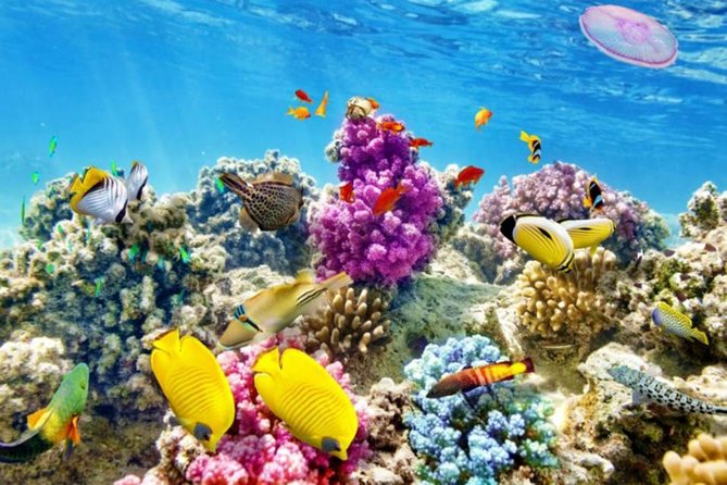 From Hurghada: Paradise Island Full-Day Snorkeling Tour - Paradise Island, sand, swimming, and downtime