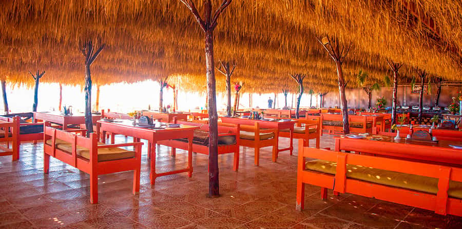 From Hurghada: Paradise Island Snorkeling Cruise with Lunch - The cruise across the Red Sea