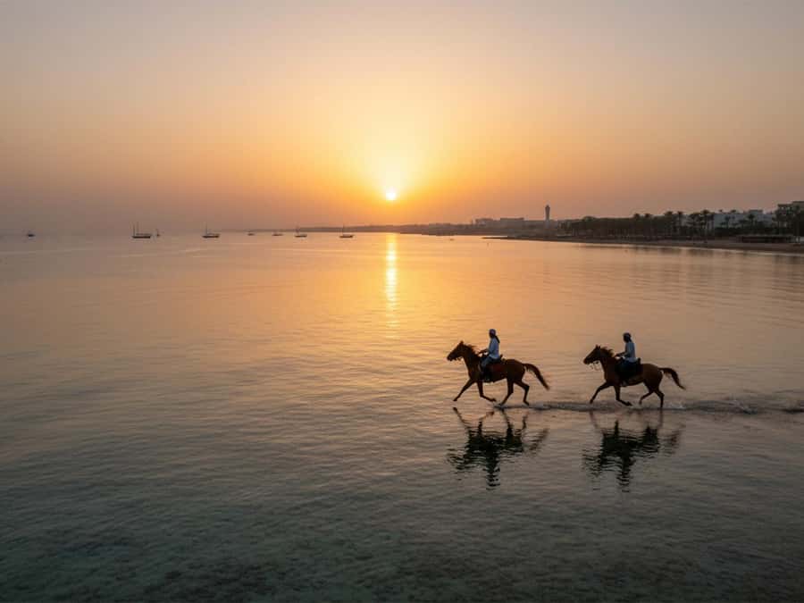 From Hurghada: Red Sea Sunrise and Desert Horseback Riding - The first 15 minutes: meeting your horse and finding your level