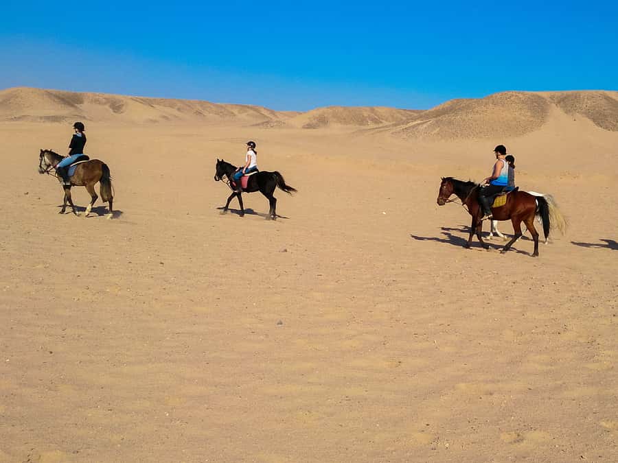 From Hurghada: Red Sea Sunrise and Desert Horseback Riding - Two hours through sand, valleys, and shoreline