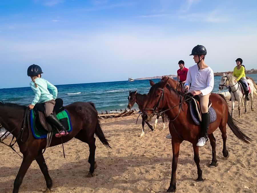 From Hurghada: Red Sea Sunrise and Desert Horseback Riding - What the $29 price really buys you