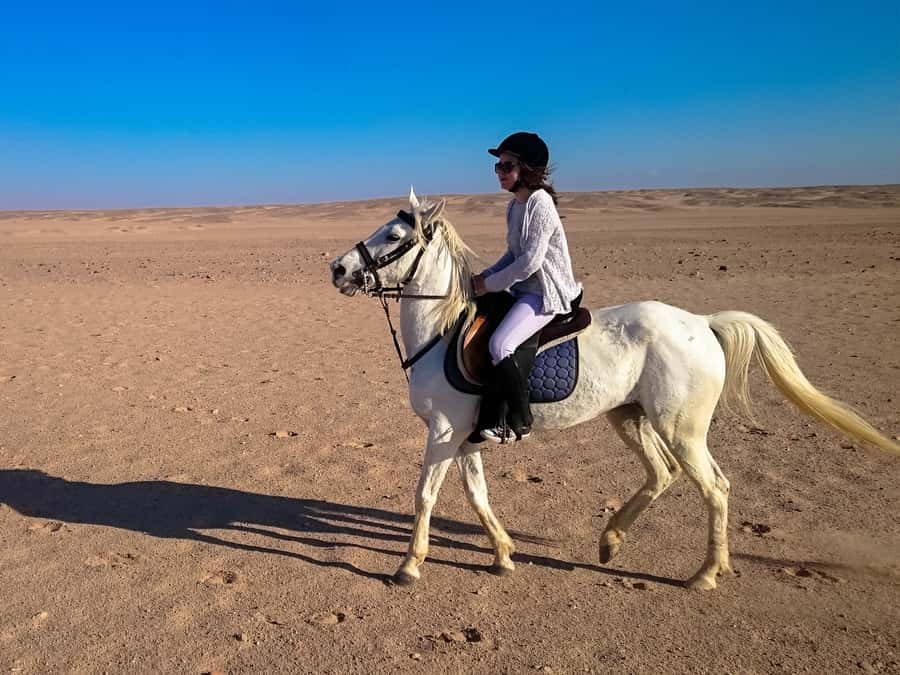 From Hurghada: Red Sea Sunrise and Desert Horseback Riding - Clothing, comfort, and safety