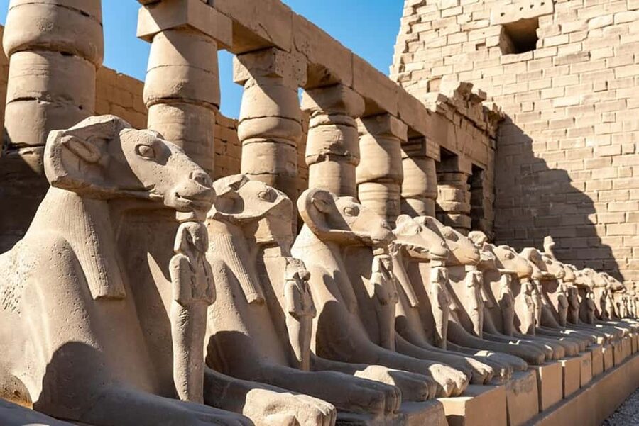 From Marsa Alam: Private Day Trip to Luxor by Car - The Colossi of Memnon: a short but striking stop