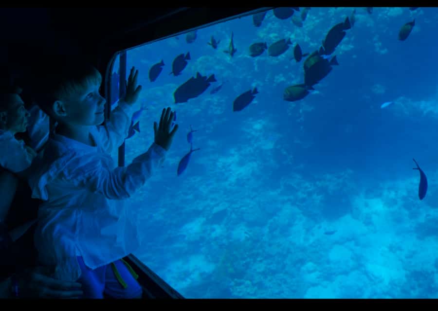 From Safaga: Royal Seascope Submarine with Snorkeling - Key points at a glance