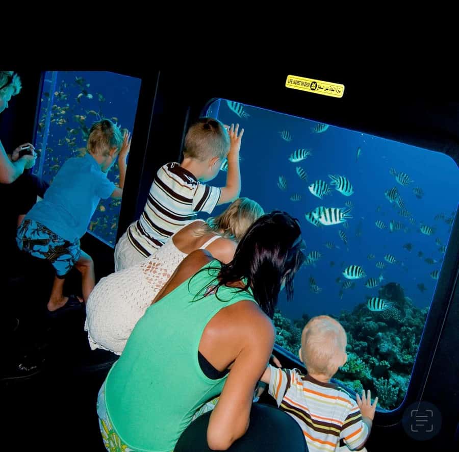 From Safaga: Royal Seascope Submarine with Snorkeling - What the Royal Seascope experience really is