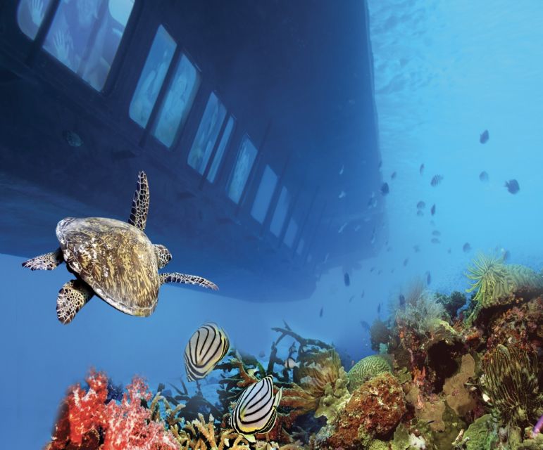 From Safaga: Royal Seascope Submarine with Snorkeling - Who will enjoy this most