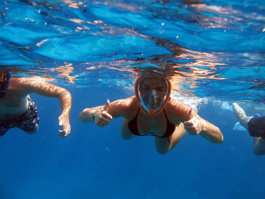 From Sharm: Half day Snorkeling Trip with Lunch - What this $27 Sharm snorkeling trip really includes