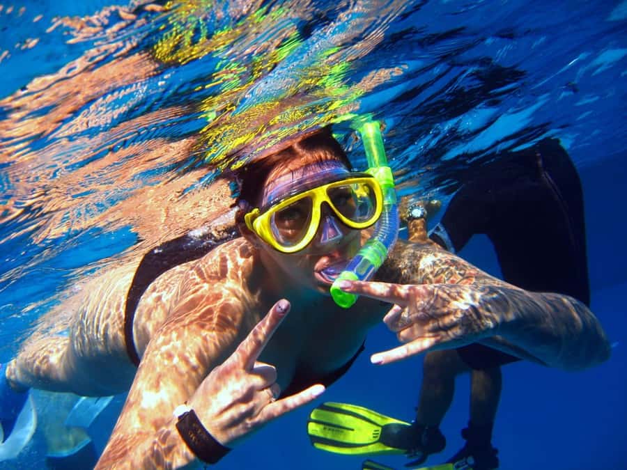 From Sharm: Half day Snorkeling Trip with Lunch - Getting from your hotel to Watanya Marina
