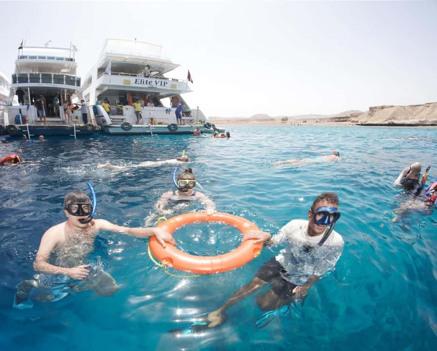 From Sharm: Half day Snorkeling Trip with Lunch - The introductory scuba add-on for non-divers