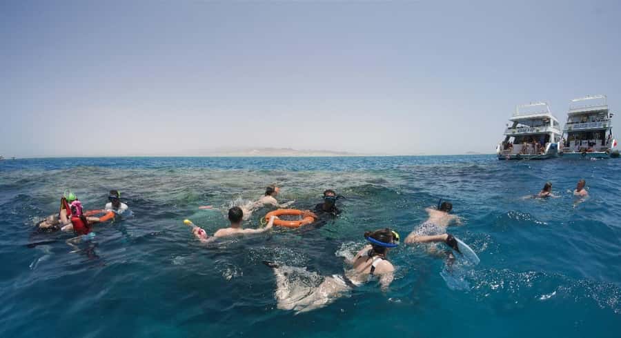 From Sharm: Half day Snorkeling Trip with Lunch - Lunch with kofta, salads, and hot drinks