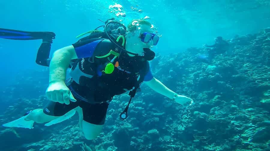 From Sharm: Luxury Diving cruise to Ras Mohammed with Lunch - The 90-minute break on board