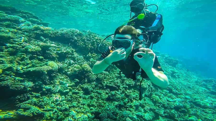 From Sharm: Luxury Diving cruise to Ras Mohammed with Lunch - The second stop and second session