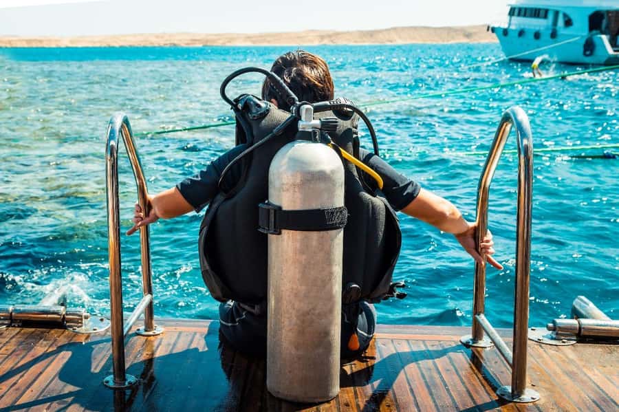 From Sharm: Luxury Diving cruise to Ras Mohammed with Lunch - From hotel pickup to the marina