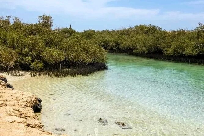 From Sharm: Ras Mohamed National Park and Magic Lake Day Tour - Guides, languages, and the human side of the trip