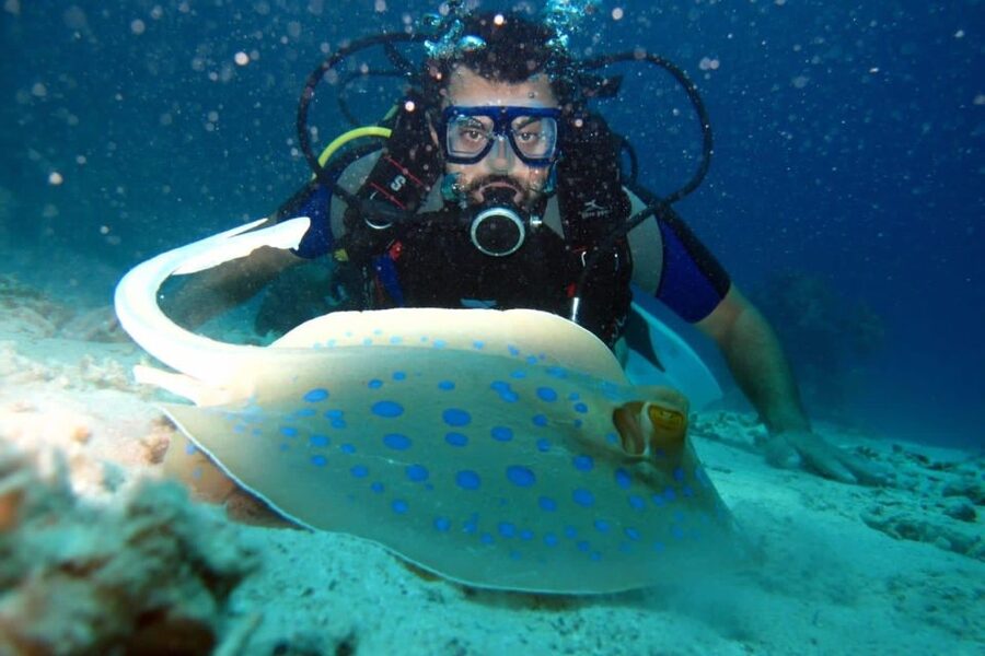 From Sharm: Ras Mohammed snorkeling cruise & optional diving - Timing your day at sea