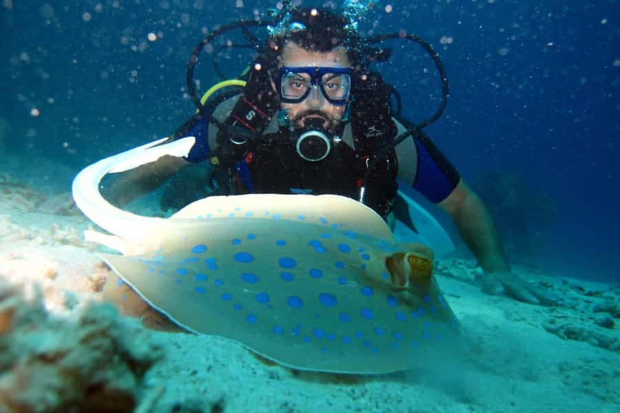 From Sharm: Ras Mohammed snorkeling cruise & optional diving - Lunch on the yacht