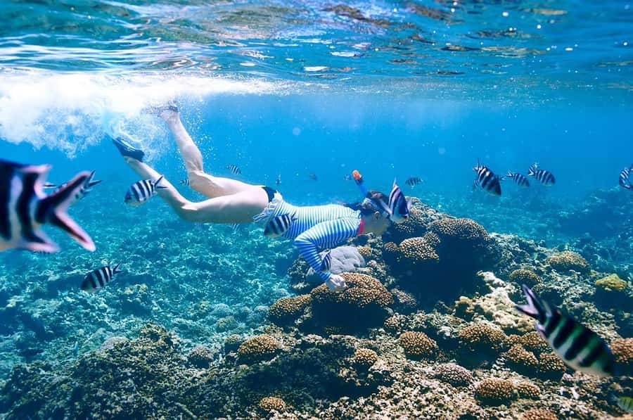 From Sharm: Ras Mohammed snorkeling cruise & optional diving - The yacht, crew, and languages