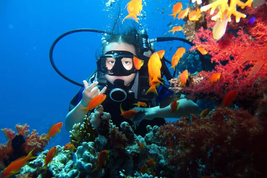 From Sharm: Ras Mohammed snorkeling cruise & optional diving - Who will enjoy this cruise most