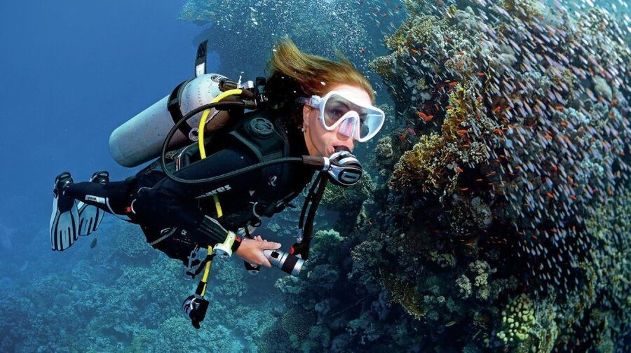 From Sharm: Ras Muhammed & White Island By Boat & intro Dive - Key points to know before you book