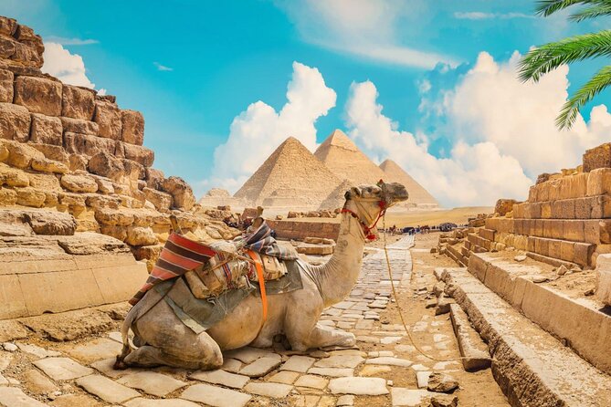 Full Day Cairo Guided Tour Pyramids and Museum, Lunch - Hurghada - The Great Sphinx in a short half-hour stop