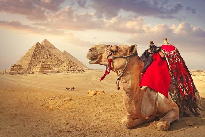 Full Day Cairo Guided Tour Pyramids and Museum, Lunch - Hurghada - The Egyptian Museum and its mummies