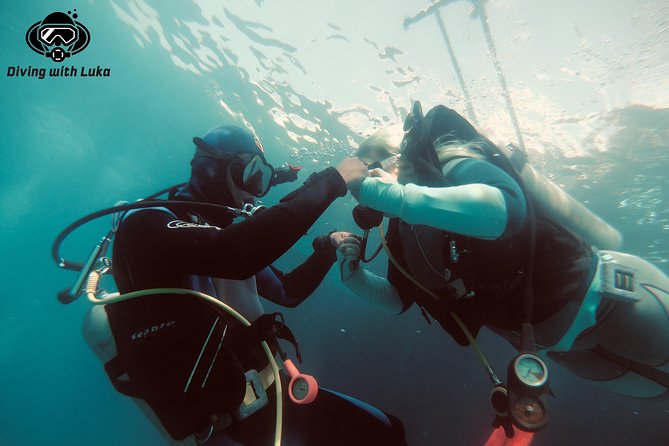 Full day diving with private guide, lunch drinks transportation - Key points at a glance