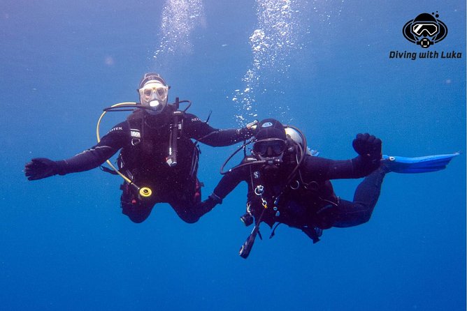 Full day diving with private guide, lunch drinks transportation - Price and value at $81.10