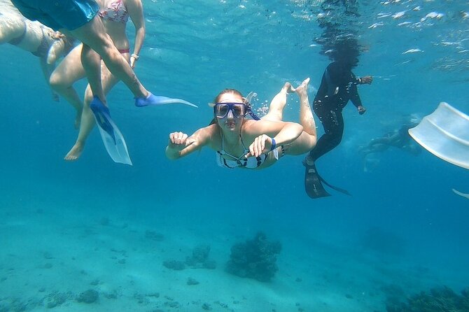 Full-day Dolphin House And Swim With Dolphin - Searching for dolphins in open water