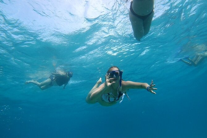 Full-day Dolphin House And Swim With Dolphin - Two 45-minute snorkeling stops
