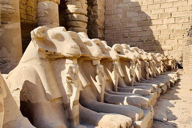 Full-Day East and West Luxor Private Tour - The private car and pickup details