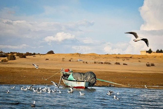 Full-Day Fayoum Oasis and Waterfalls of Wadi El-Rayan Tour from Cairo - Key points to know before booking