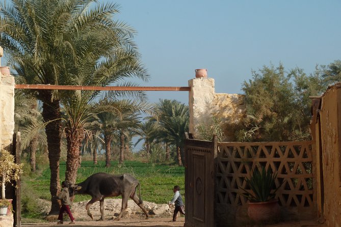 Full-Day Fayoum Oasis and Waterfalls of Wadi El-Rayan Tour from Cairo - Guides can shape the whole day