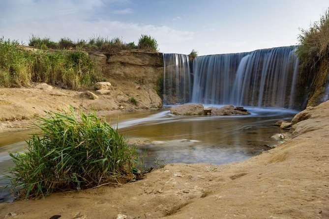 Full-Day Fayoum Oasis and Waterfalls of Wadi El-Rayan Tour from Cairo - Lake Qarun and the birds at Birket Qarun