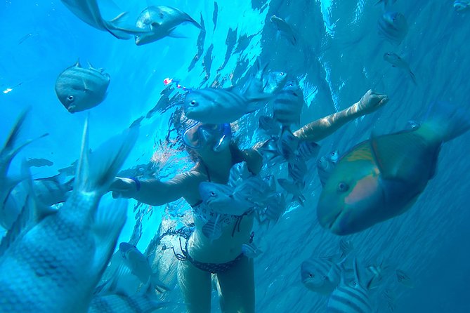 Full-Day Snorkeling with Dolphins in Hurghada with Lunch - Key points to know before booking