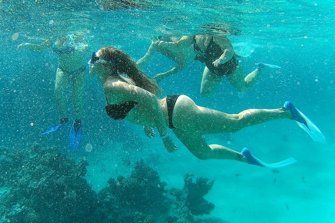 Full-Day Snorkeling with Dolphins in Hurghada with Lunch - Snorkeling over coral and tropical fish
