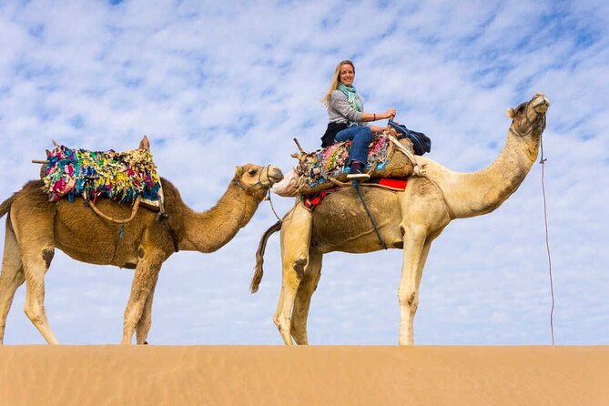 Full day tour Giza Pyramids Sphinx &Lunch and Shopping tour - Thirty minutes on a camel in the Sahara