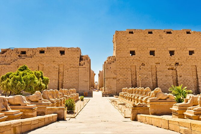 Full Day Tour to East and West Banks of Luxor - A short stop at the Colossi of Memnon