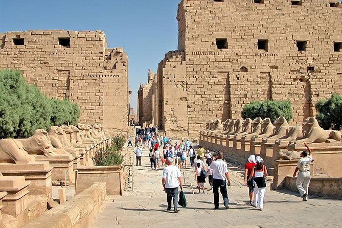 Full Day Trip to Luxor from Hurghada Small Group with Lunch - Guides can shape the whole day